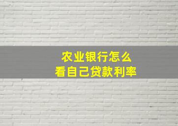 农业银行怎么看自己贷款利率