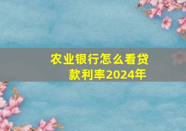 农业银行怎么看贷款利率2024年