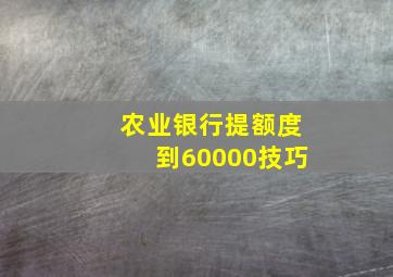 农业银行提额度到60000技巧