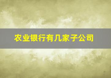 农业银行有几家子公司