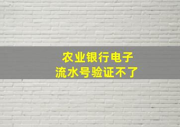 农业银行电子流水号验证不了