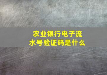 农业银行电子流水号验证码是什么