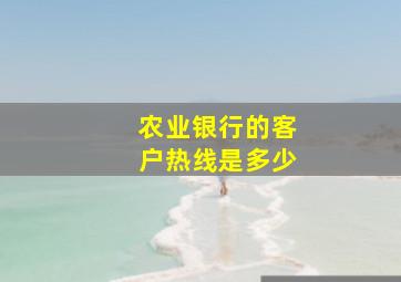 农业银行的客户热线是多少