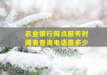 农业银行网点服务时间表查询电话是多少