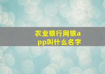 农业银行网银app叫什么名字