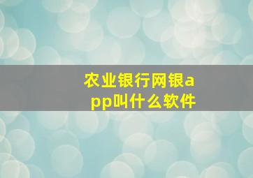 农业银行网银app叫什么软件