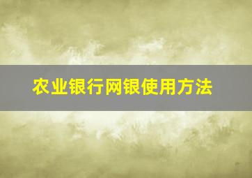 农业银行网银使用方法