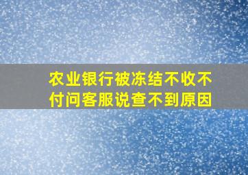 农业银行被冻结不收不付问客服说查不到原因