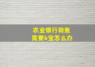 农业银行转账需要k宝怎么办