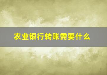 农业银行转账需要什么