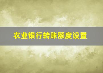 农业银行转账额度设置