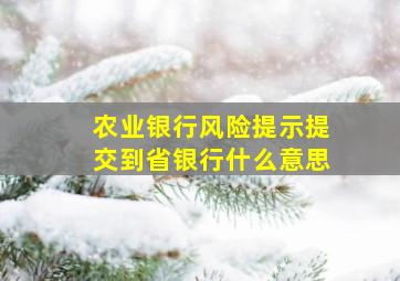 农业银行风险提示提交到省银行什么意思