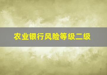 农业银行风险等级二级