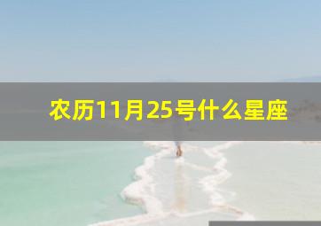 农历11月25号什么星座