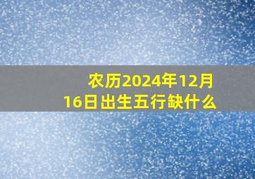 农历2024年12月16日出生五行缺什么