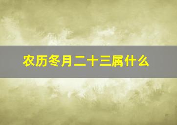 农历冬月二十三属什么