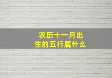 农历十一月出生的五行属什么