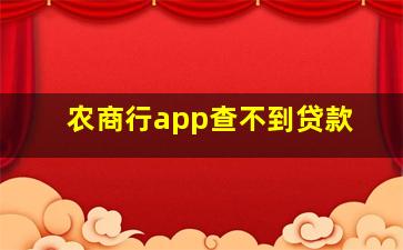 农商行app查不到贷款