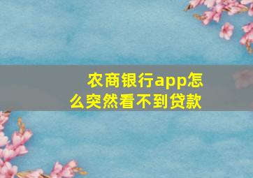 农商银行app怎么突然看不到贷款