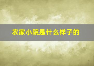 农家小院是什么样子的