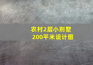 农村2层小别墅200平米设计图