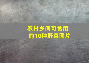 农村乡间可食用的10种野菜图片