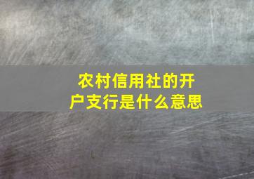 农村信用社的开户支行是什么意思