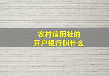 农村信用社的开户银行叫什么