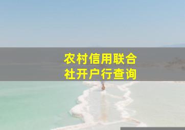 农村信用联合社开户行查询