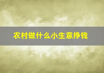 农村做什么小生意挣钱