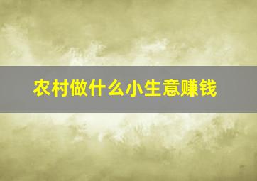 农村做什么小生意赚钱