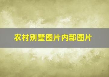 农村别墅图片内部图片