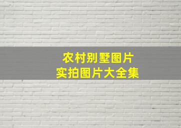 农村别墅图片实拍图片大全集