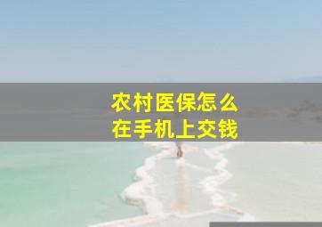 农村医保怎么在手机上交钱