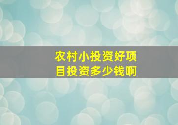 农村小投资好项目投资多少钱啊