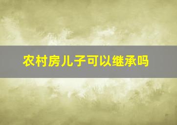 农村房儿子可以继承吗