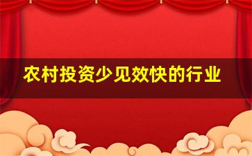 农村投资少见效快的行业