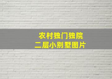 农村独门独院二层小别墅图片