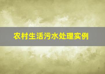 农村生活污水处理实例