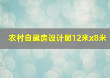 农村自建房设计图12米x8米