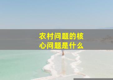 农村问题的核心问题是什么