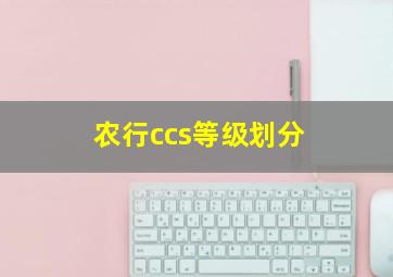 农行ccs等级划分