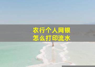 农行个人网银怎么打印流水