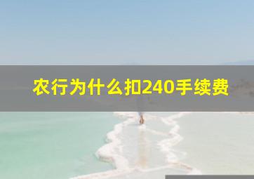 农行为什么扣240手续费