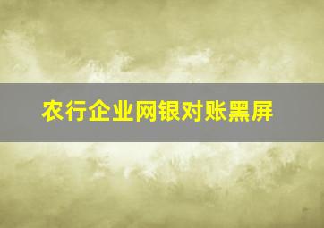 农行企业网银对账黑屏