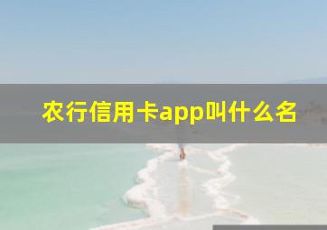 农行信用卡app叫什么名