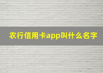 农行信用卡app叫什么名字