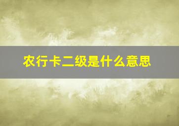 农行卡二级是什么意思