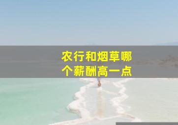 农行和烟草哪个薪酬高一点