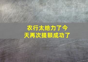 农行太给力了今天再次提额成功了